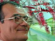 absabdi2005